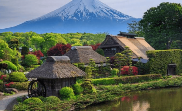 From Tokyo: Mount Fuji Full Day Private Tours English Driver - Health and Safety Considerations