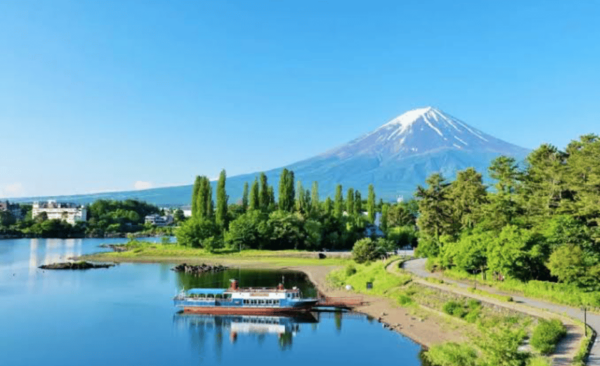 From Tokyo: Mount Fuji Full Day Private Tours English Driver - Contact Information