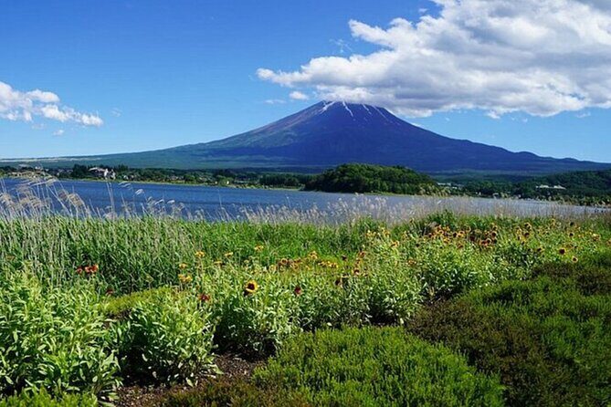From Tokyo Mount Fuji Full Day Shared Tour - The Experience from the Guides and Travelers’ Perspective