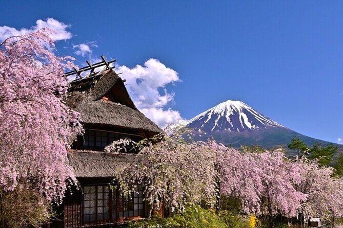 From Tokyo Mount Fuji Full Day Shared Tour - Scenic Views of Lake Kawaguchiko