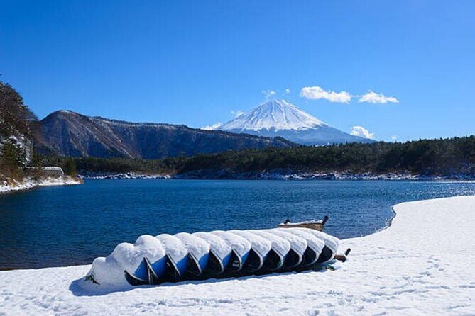 From Tokyo Mount Fuji Full Day Shared Tour - Cancellation and Flexibility