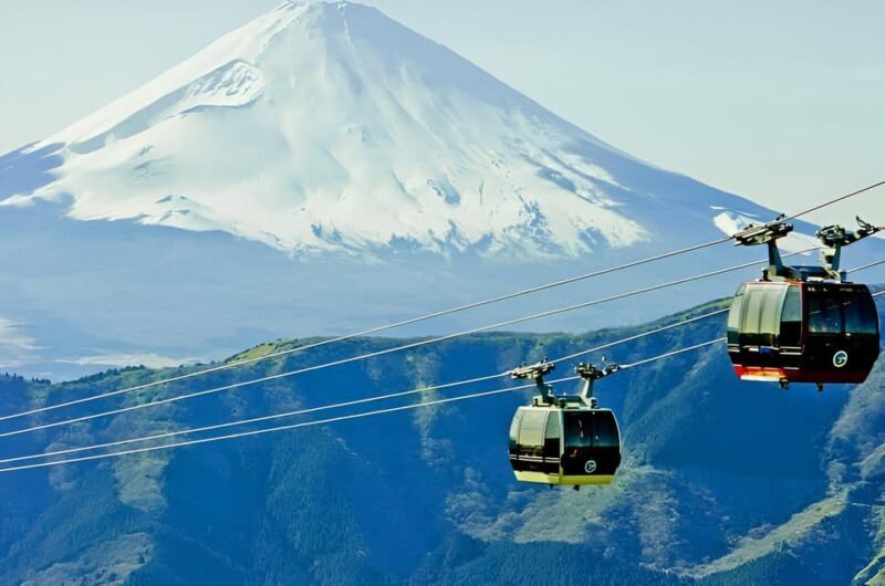 From Tokyo: Mount Fuji & Hakone Full Day Private Tour - Who Will Love This Tour?