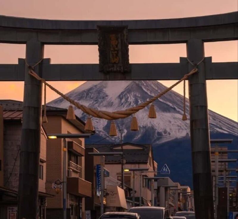 From Tokyo: Mount Fuji & Hakone Full Day Private Tour - Who Should Consider This Tour?