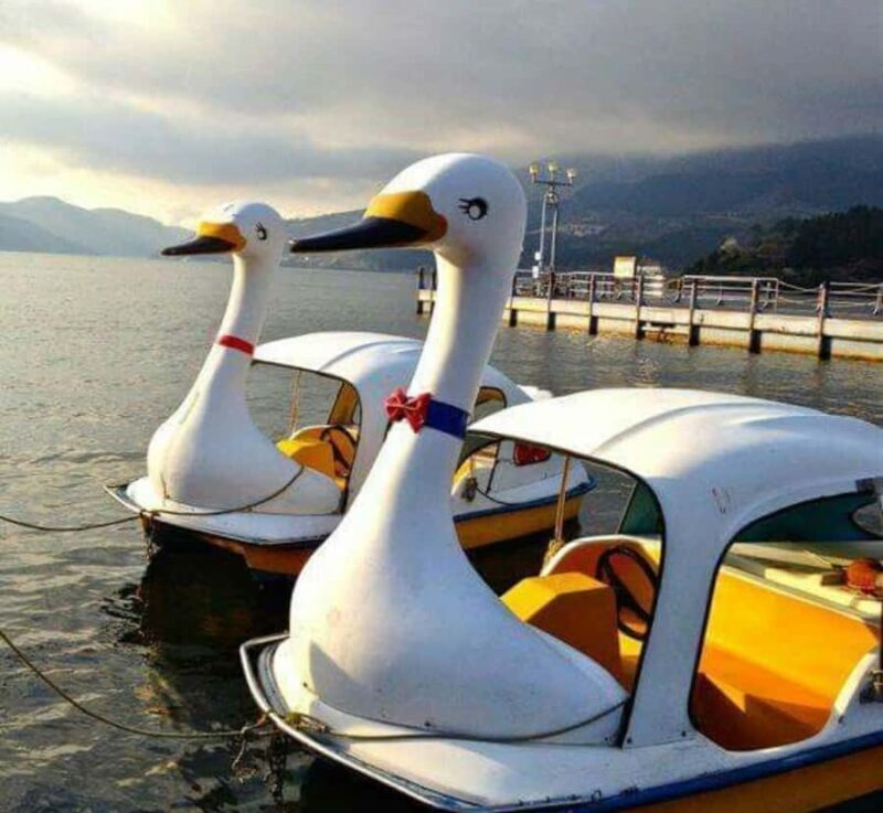 From Tokyo: Mount Fuji & Hakone Private Customizable Tour - Good To Know