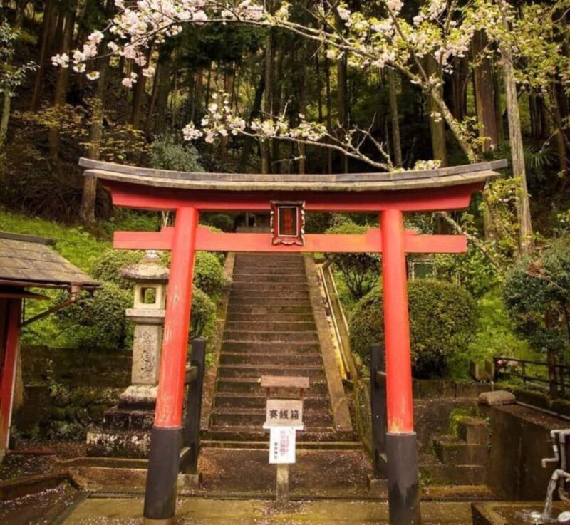 From Tokyo: Mount Fuji & Hakone Private Customizable Tour - Authentic Insights from Reviews