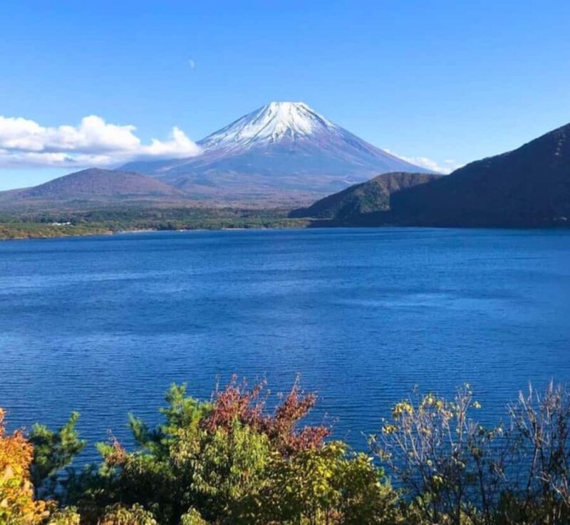 From Tokyo: Mount Fuji & Hakone Private Customizable Tour - Who Would Love This Tour?