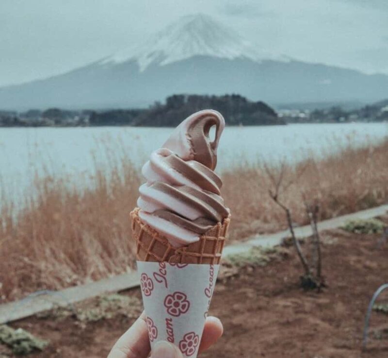 From Tokyo: Mount Fuji & Hakone Private Customizable Tour - Final Thoughts