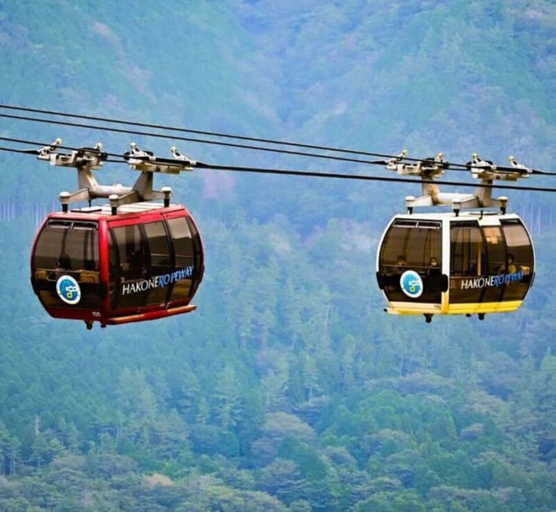 From Tokyo: Mount Fuji & Hakone Private Tour with Guide - Good To Know