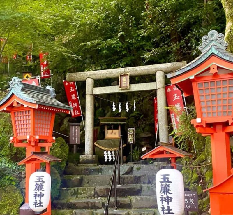 From Tokyo: Mount Fuji & Hakone Private Tour with Guide - FAQ