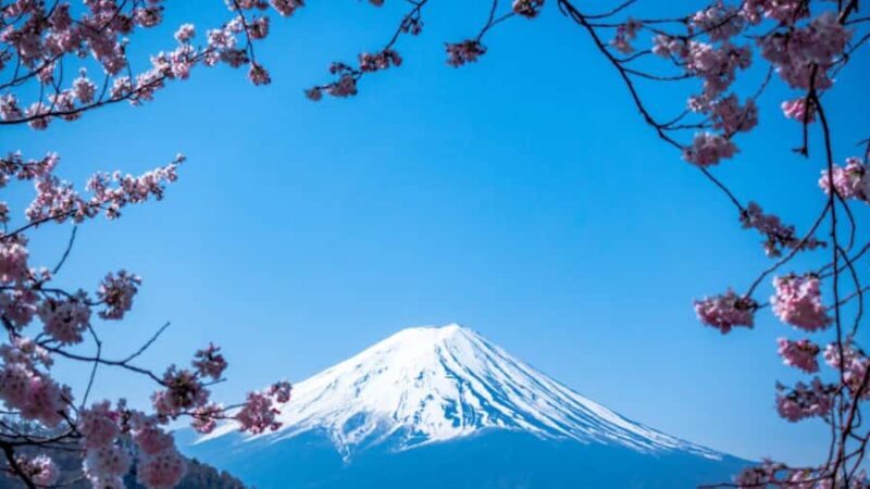 From Tokyo : Mount Fuji & Hakone Private Tour With Guide - An In-Depth Look at the Tour Experience