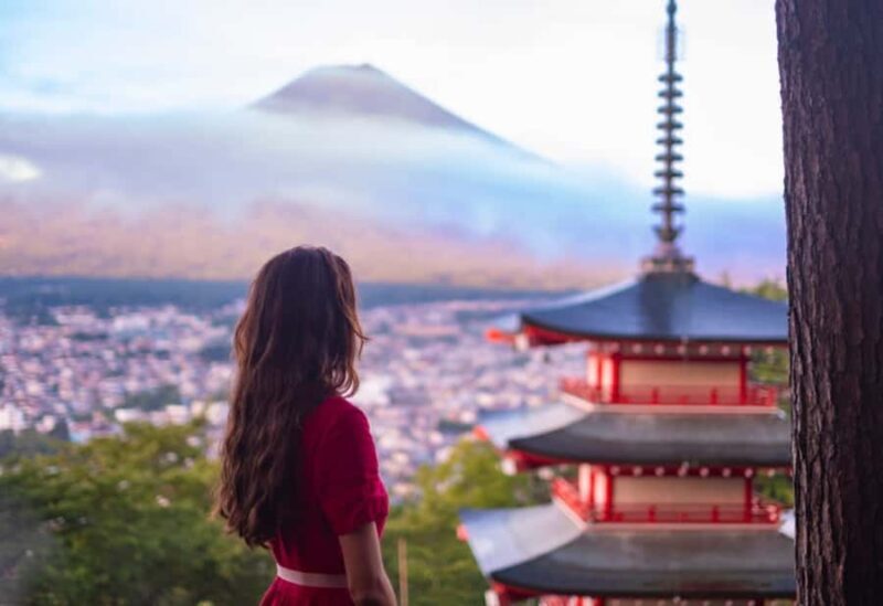 From Tokyo : Mount Fuji & Hakone Private Tour With Guide - Who Would Love This Tour?