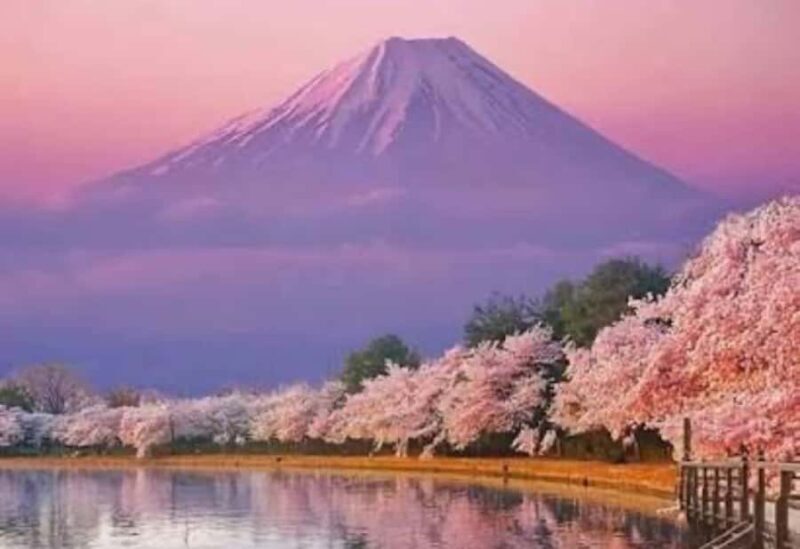 From Tokyo: Mount Fuji Highlight Full Day Private Tour - From Tokyo: Mount Fuji Highlight Full Day Private Tour