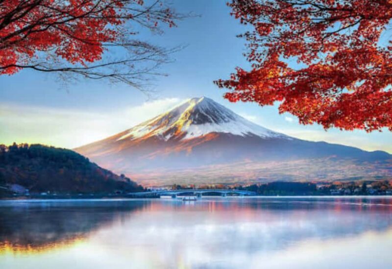 From Tokyo: Mount Fuji Highlight Full Day Private Tour - Who Is This Tour Best Suited For?