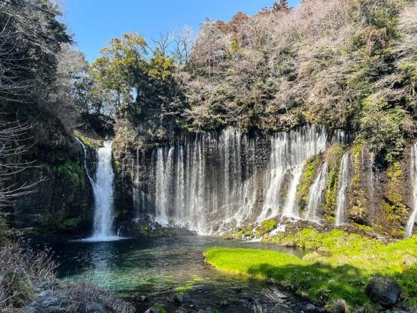 From Tokyo: Mount Fuji Highlight Photo Spots Full-Day Tour - Customer Reviews and Ratings