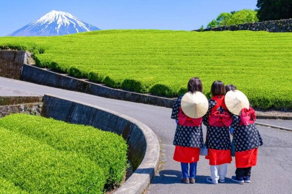 From Tokyo: Mount Fuji Highlight Photo Spots Full-Day Tour - Tips for Enjoying the Tour