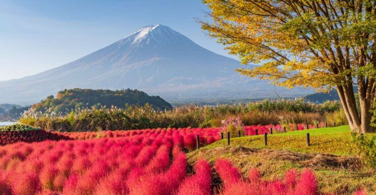 From Tokyo: Mount Fuji Highlights Private Day Tour - Tour Details