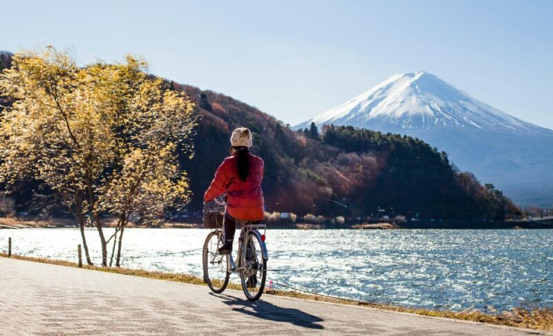 From Tokyo: Mount Fuji Instagram Spots 1-Day Private Tour - Why Consider This Mount Fuji Tour?