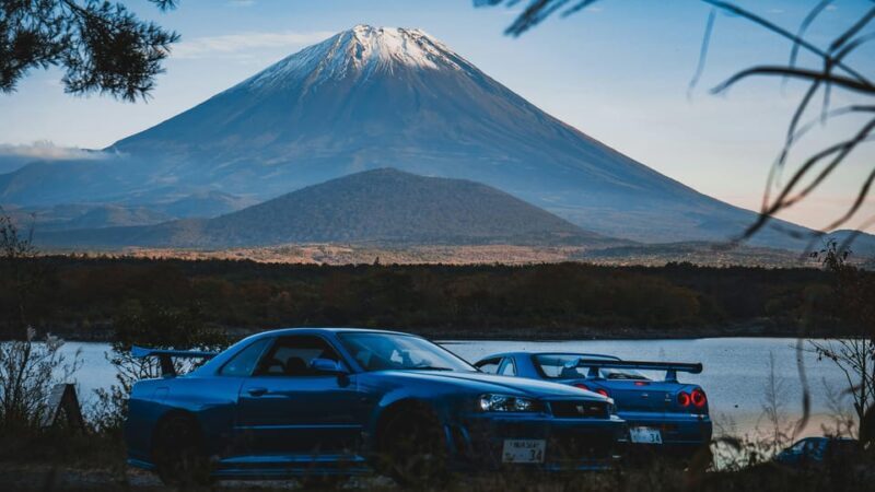 From Tokyo: Mount Fuji Instagram Spots 1-Day Private Tour - What’s Included and What to Expect