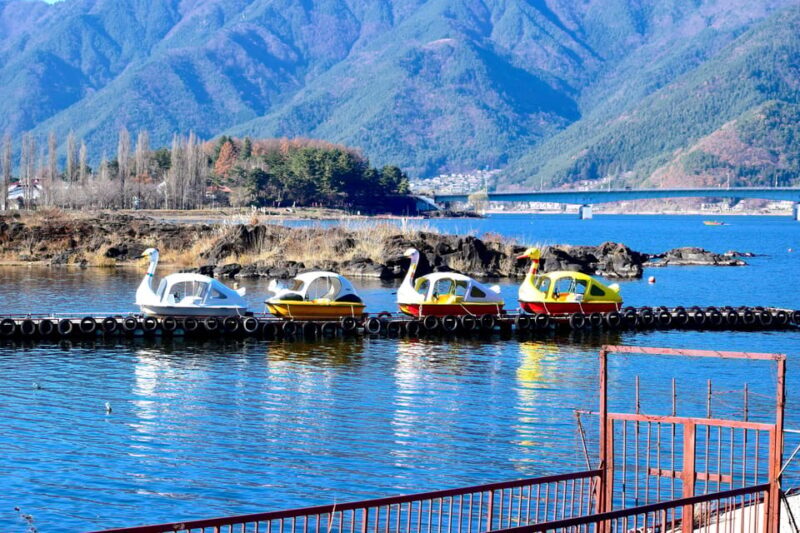 From Tokyo: Mount Fuji Instagram Spots 1-Day Private Tour - Authentic Experiences and Traveler Insights