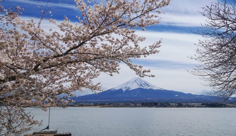 From Tokyo: Mount Fuji Instagram Spots 1-Day Private Tour - Practical Tips for Making the Most of Your Day