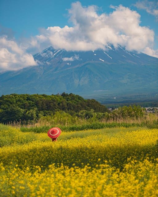 From Tokyo: Mount Fuji Instagram Spots 1-Day Private Tour - The Bottom Line