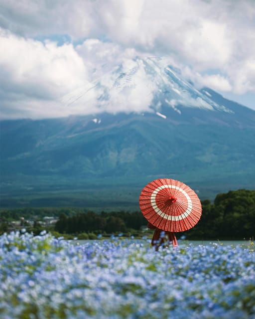 From Tokyo: Mount Fuji Instagram Spots 1-Day Private Tour - Transportation and Accessibility Options