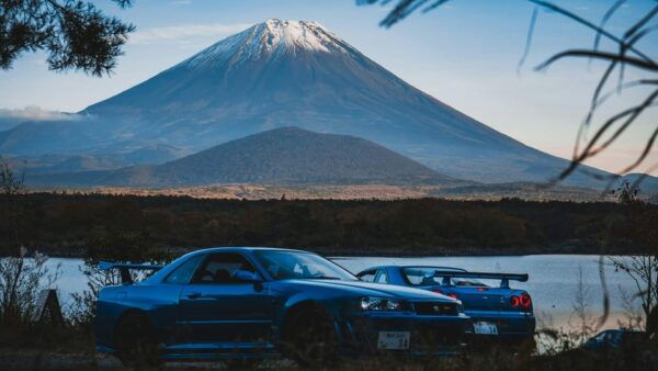From Tokyo: Mount Fuji Instagram Spots 1-Day Private Tour - Exclusions to Consider