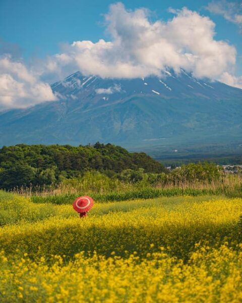From Tokyo: Mount Fuji Instagram Spots 1-Day Private Tour - Tips for the Perfect Instagram Shot