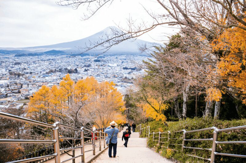 From Tokyo: Mount Fuji or Hakone Customized Day Trip - Good To Know