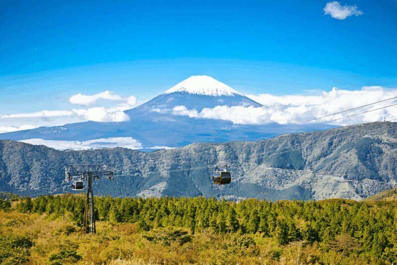 From Tokyo: Mount Fuji or Hakone Customized Day Trip - Transport, Timing, and Comfort