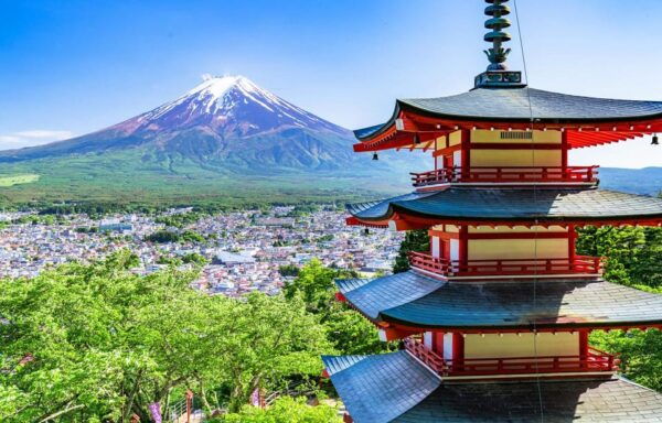 From Tokyo Mount Fuji, Oshino Hakkai, Hot Springs 1-Day Tour - Important Information