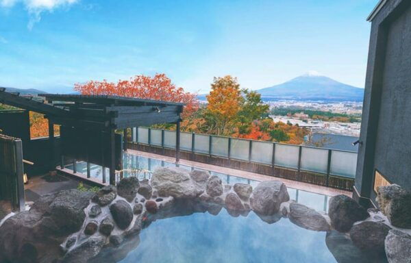 From Tokyo Mount Fuji, Oshino Hakkai, Hot Springs 1-Day Tour - Booking Your Tour