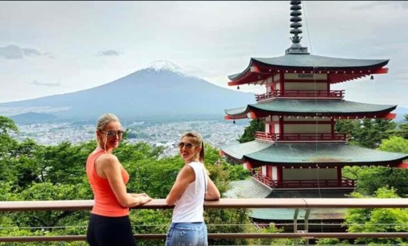 From Tokyo: Mount Fuji Private Customizable Full-Day Tour - Who is this tour best for?