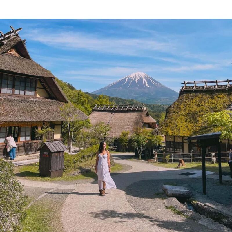 From Tokyo Mount Fuji Private Customizable Tour with Guide - FAQ