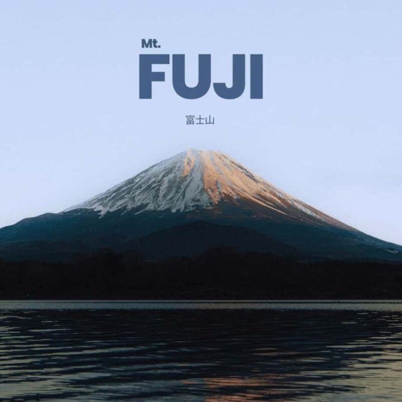 From Tokyo Mount Fuji Private Customizable Tour with Guide - Transportation & Logistics: What Makes the Experience Smooth