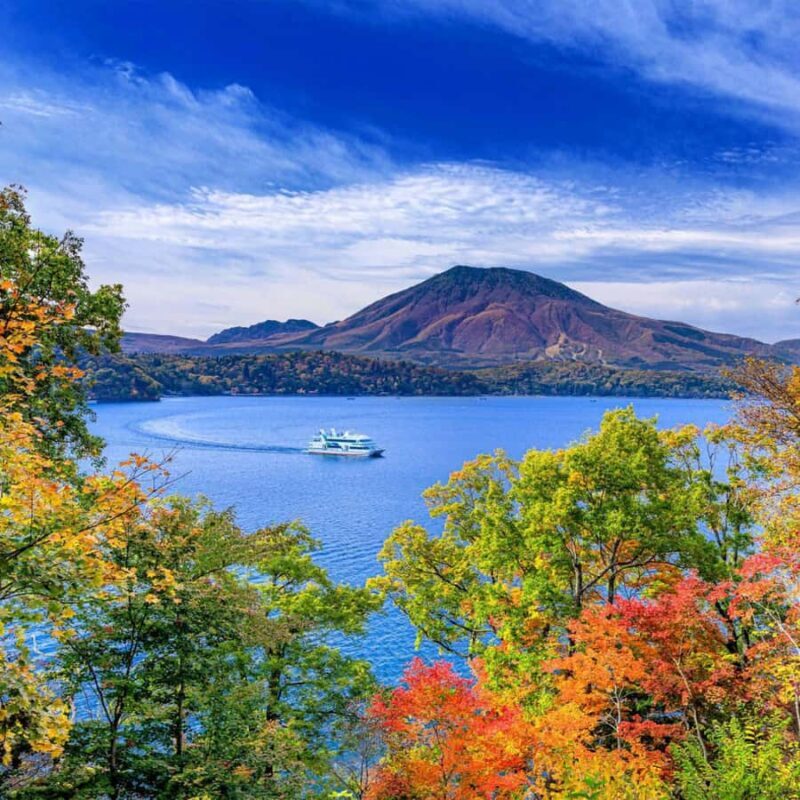 From Tokyo Mount Fuji Private Customizable Tour with Guide - Who Will Love This Tour?