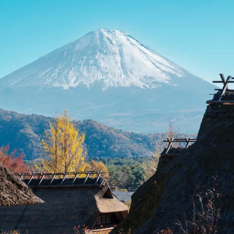 From Tokyo: Mount Fuji Private Customizable Tour With Guide - The Itinerary in Detail: What to Expect