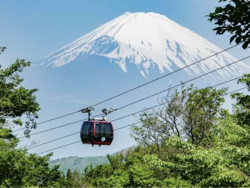 From Tokyo: Mount Fuji Private Customizable Tour with Guide - Why This Tour Is Perfect for You