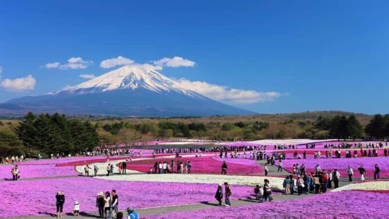 From Tokyo: Mount Fuji Private Customizable Tour with Guide - The Sum Up