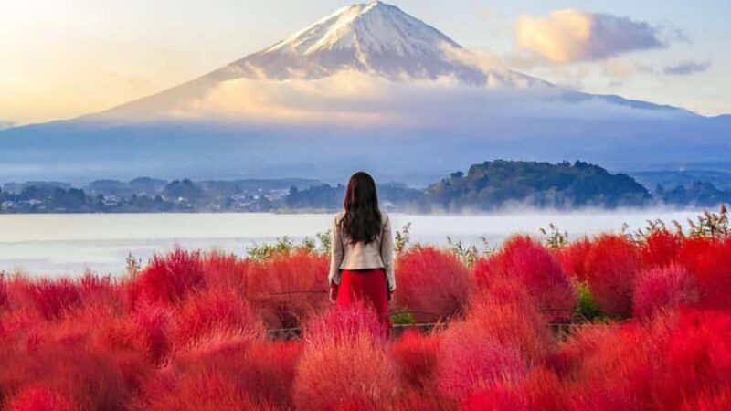 From Tokyo: Mount Fuji Private Customized Tour English Guide - Good To Know