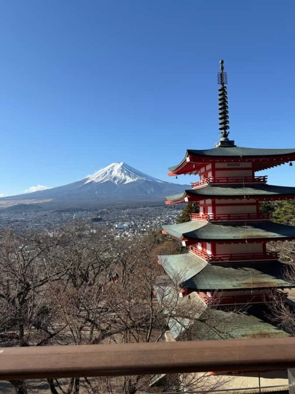 From Tokyo: Mount Fuji Private Customized Tour English Guide - FAQs
