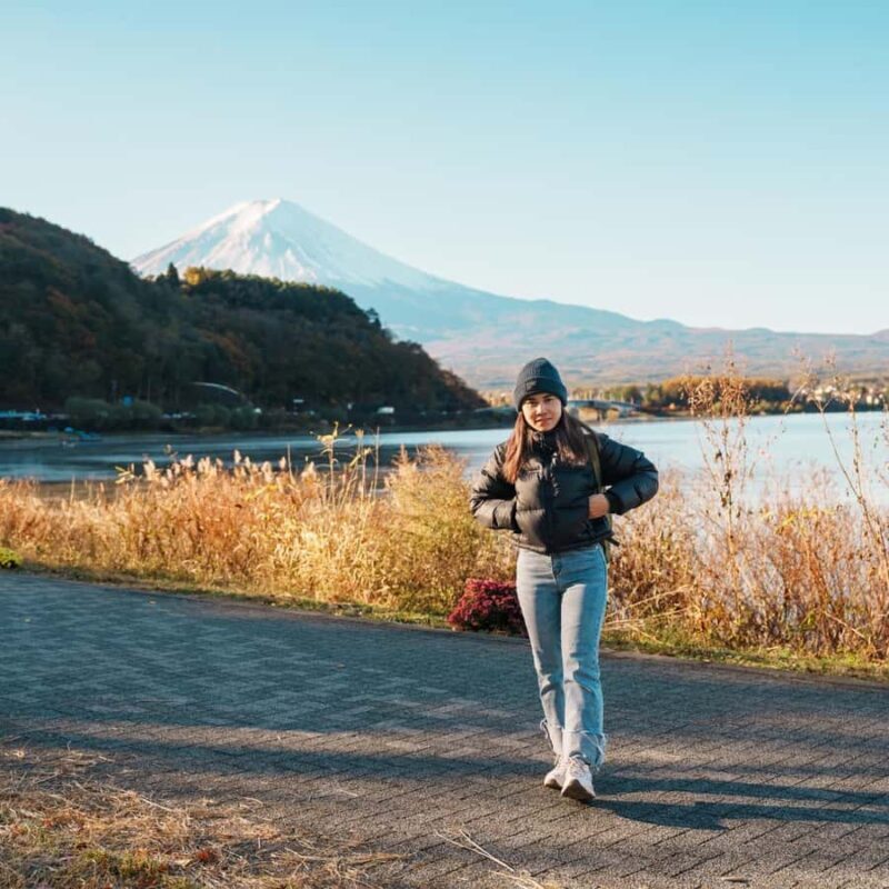 From Tokyo: Mount fuji Private Customized Tour With Guide - The Long Day: Pros and Cons