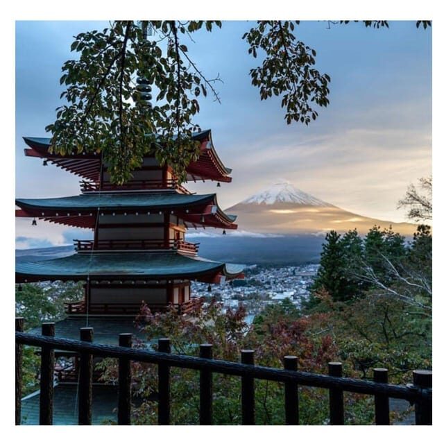 From Tokyo: Mount Fuji Private Day Tour Fully Customizable - Transportation and Comfort