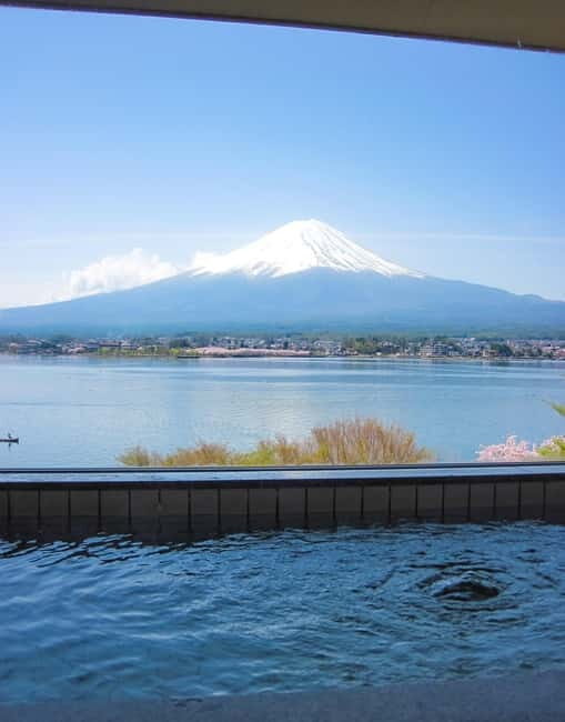 From Tokyo: Mount Fuji Private Day Tour Fully Customizable - Who Will Love This Tour?