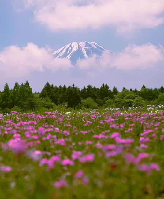 From Tokyo: Mount Fuji Private Day Tour Fully Customizable - What to Expect from This Mount Fuji Private Tour