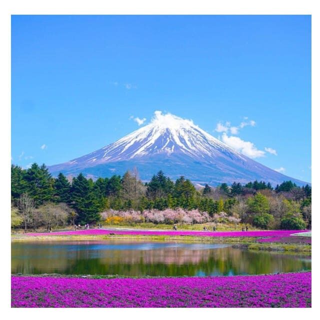 From Tokyo: Mount Fuji Private Day Tour Fully Customizable - The Sum Up