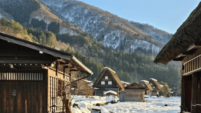 From Tokyo : Mount Fuji Private Day Tour With English Driver - Customization Possibilities