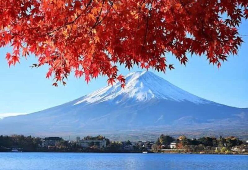 From Tokyo: Mount Fuji Private Day Tour With English Guide - A Deep Dive into the Experience