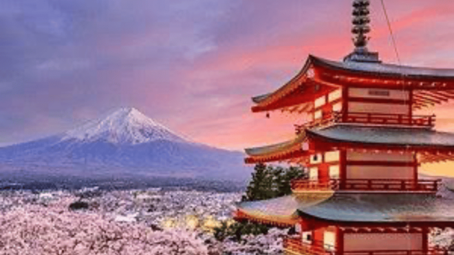 From Tokyo: Mount Fuji Private Day Trip - Transportation Options