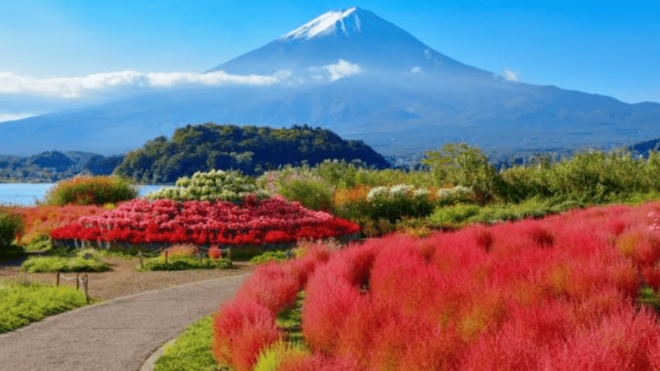 From Tokyo: Mount Fuji Private Day Trip - Tour Highlights and Activities